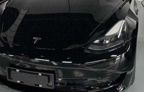 国产免,免生成技术引领未来创新浪潮 第2张 国产免,免生成技术引领未来创新浪潮 第2张