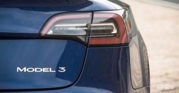 国产免,免生成技术引领未来创新浪潮 第3张 国产免,免生成技术引领未来创新浪潮 第3张