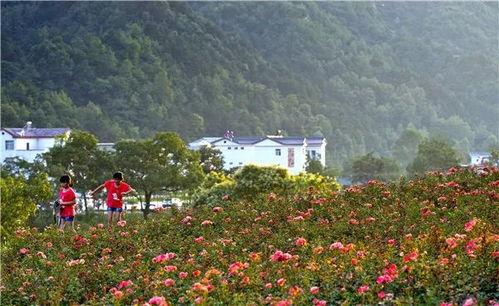 国产福利三区 第1张 国产福利三区 第1张