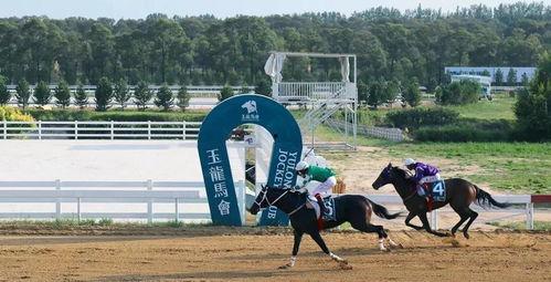 国产无马,引领绿色出行新潮流 第1张 国产无马,引领绿色出行新潮流 第1张