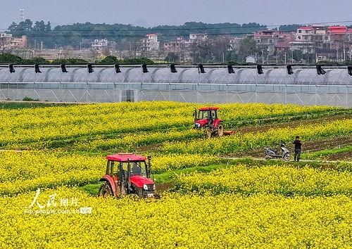 1024国产区,探索国产科技的魅力与未来  第2张