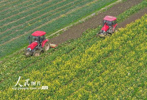 1024国产区,探索国产科技的魅力与未来  第3张