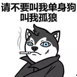 娱乐吃瓜君脱单冷知识,那些你不知道的脱单冷知识